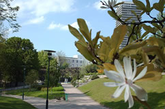 02.jpg